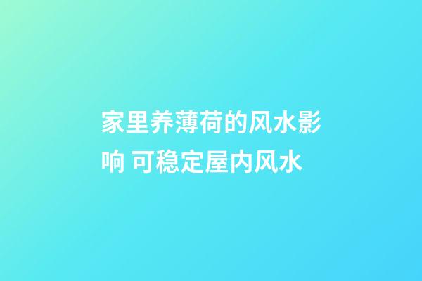 家里养薄荷的风水影响 可稳定屋内风水